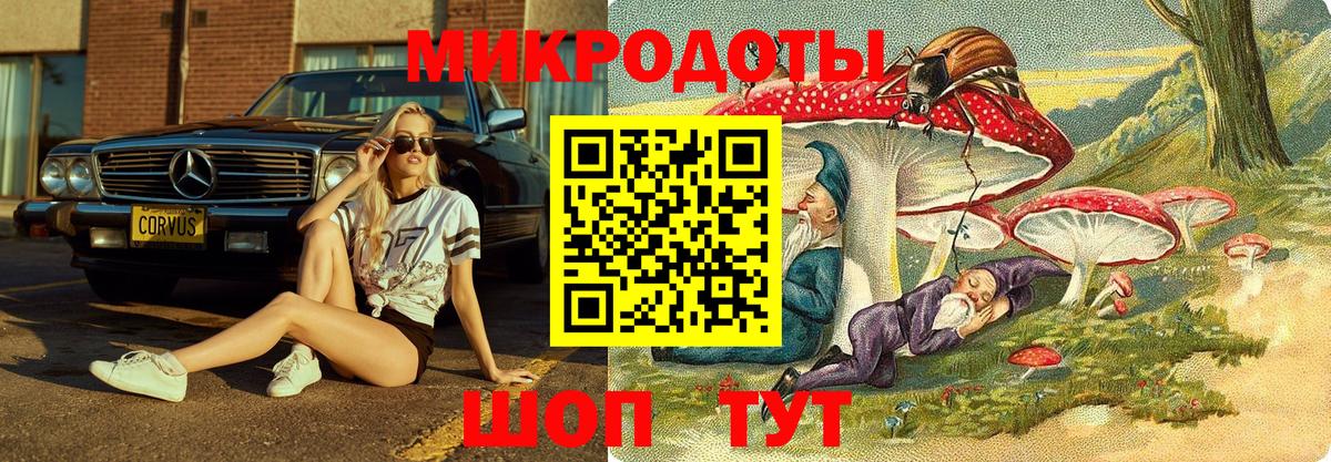 Галлюциногенные грибы мицелий  Вход с VPN  Кимры  Псилоцибиновые грибы GOLDEN TEACHER 