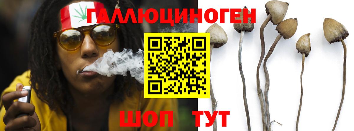 Псилоцибиновые грибы Cubensis Кимры